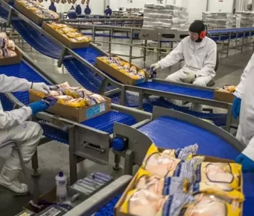 بهترین خط تولید با سرمایه کم