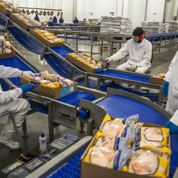 بهترین خط تولید با سرمایه کم