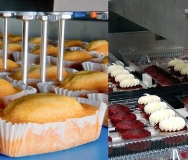 تولید و بسته بندی کیک و کلوچه