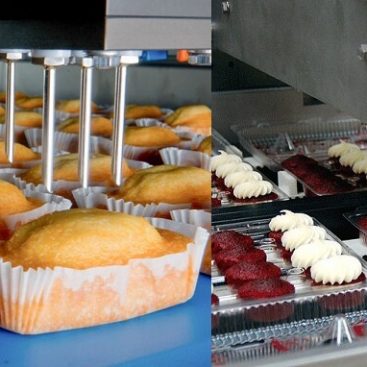 تولید و بسته بندی کیک و کلوچه